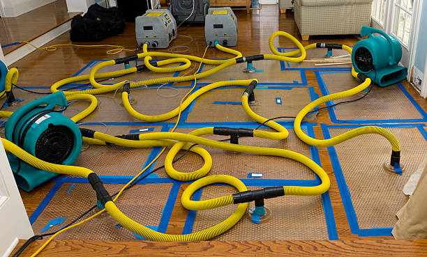 Professional Water Damage Repair technician working in Townsend, MA